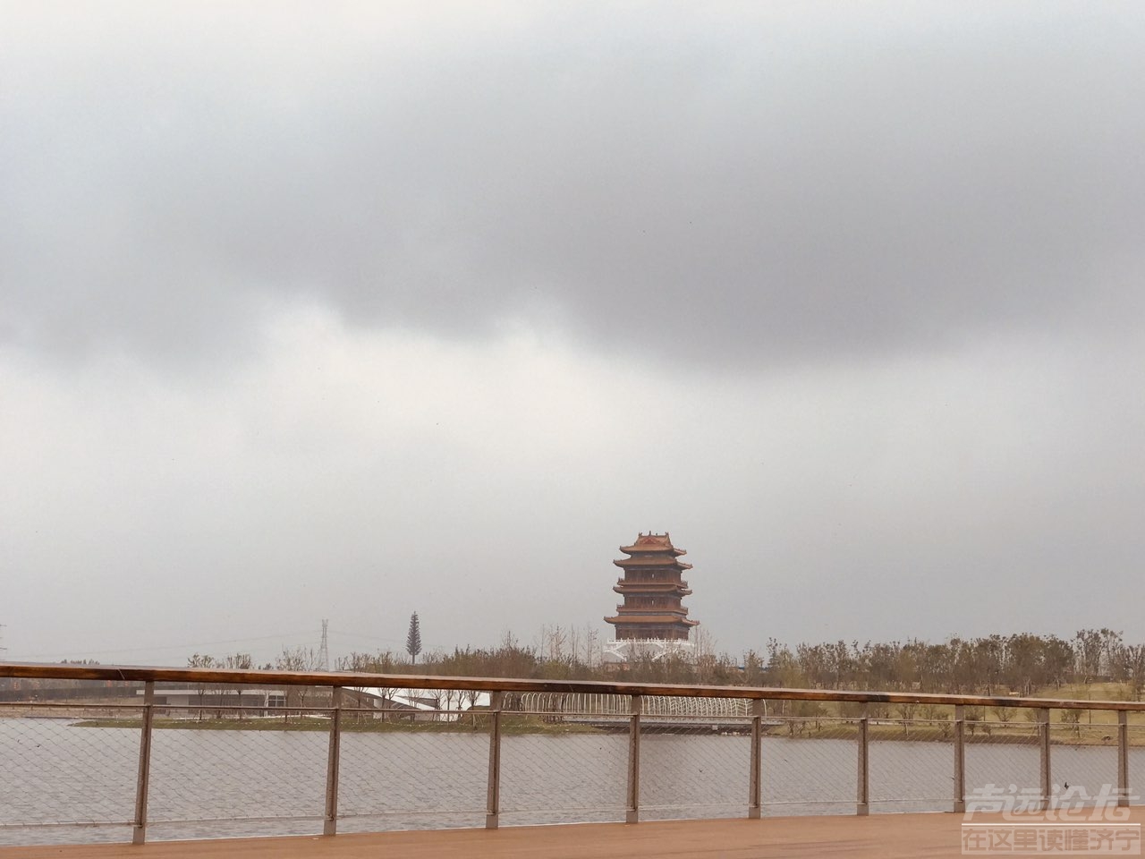 雨后植物公园-8.jpg