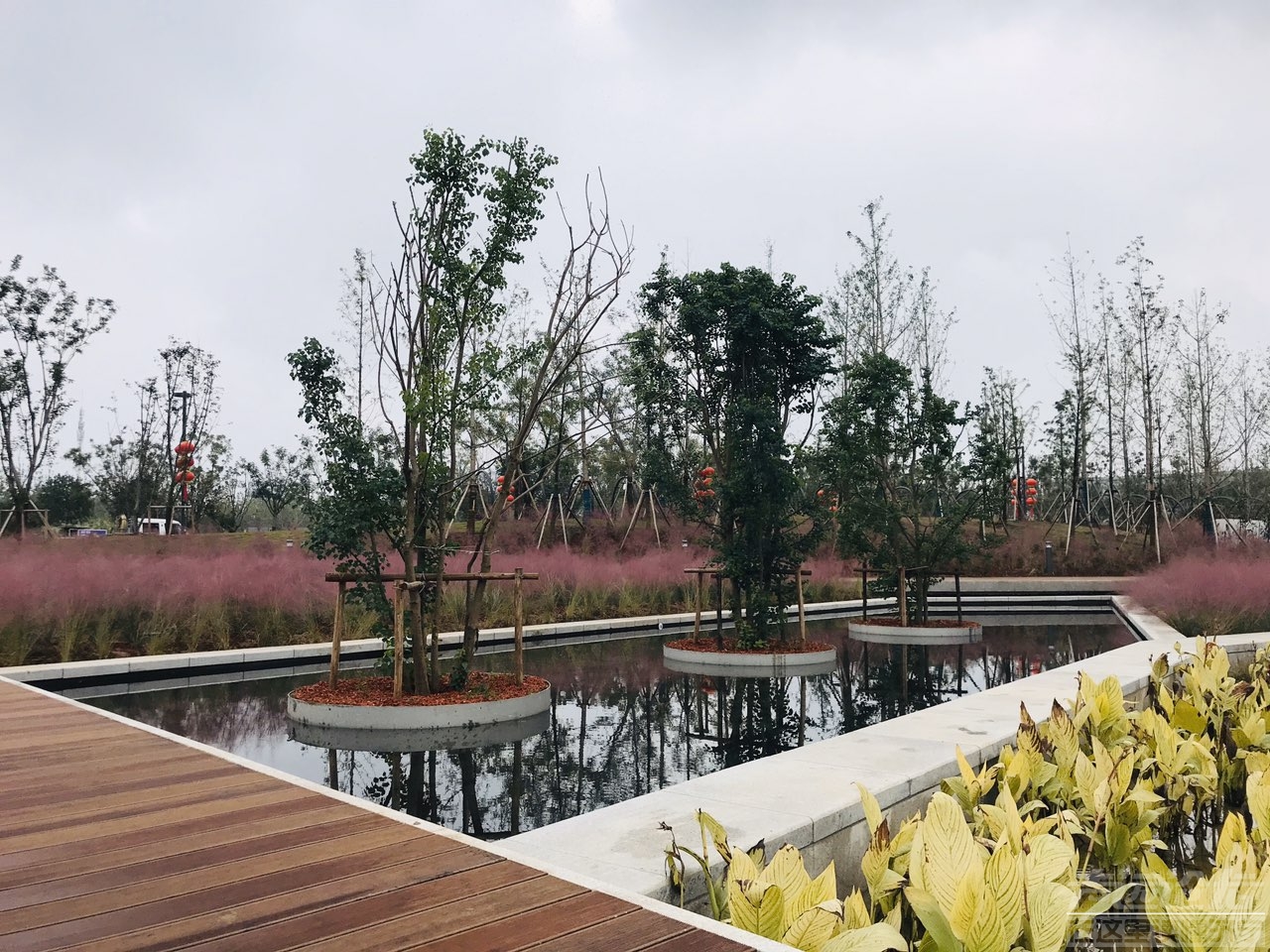雨后植物公园-6.jpg