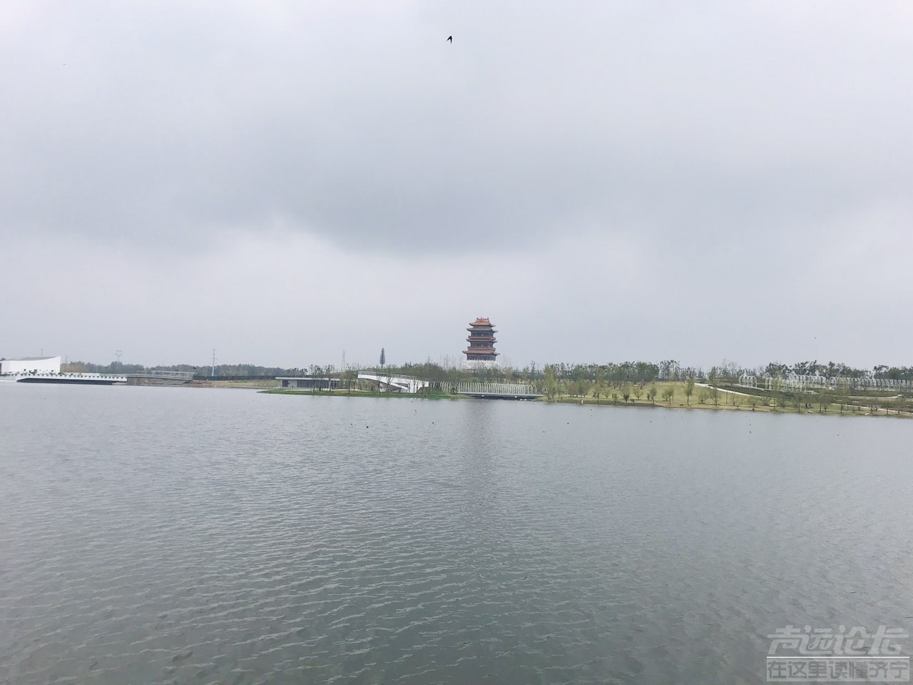 雨后植物公园-10.jpg