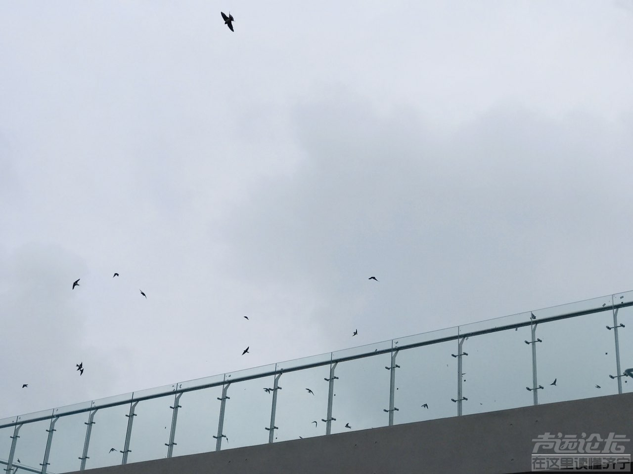 雨后植物公园-11.jpg