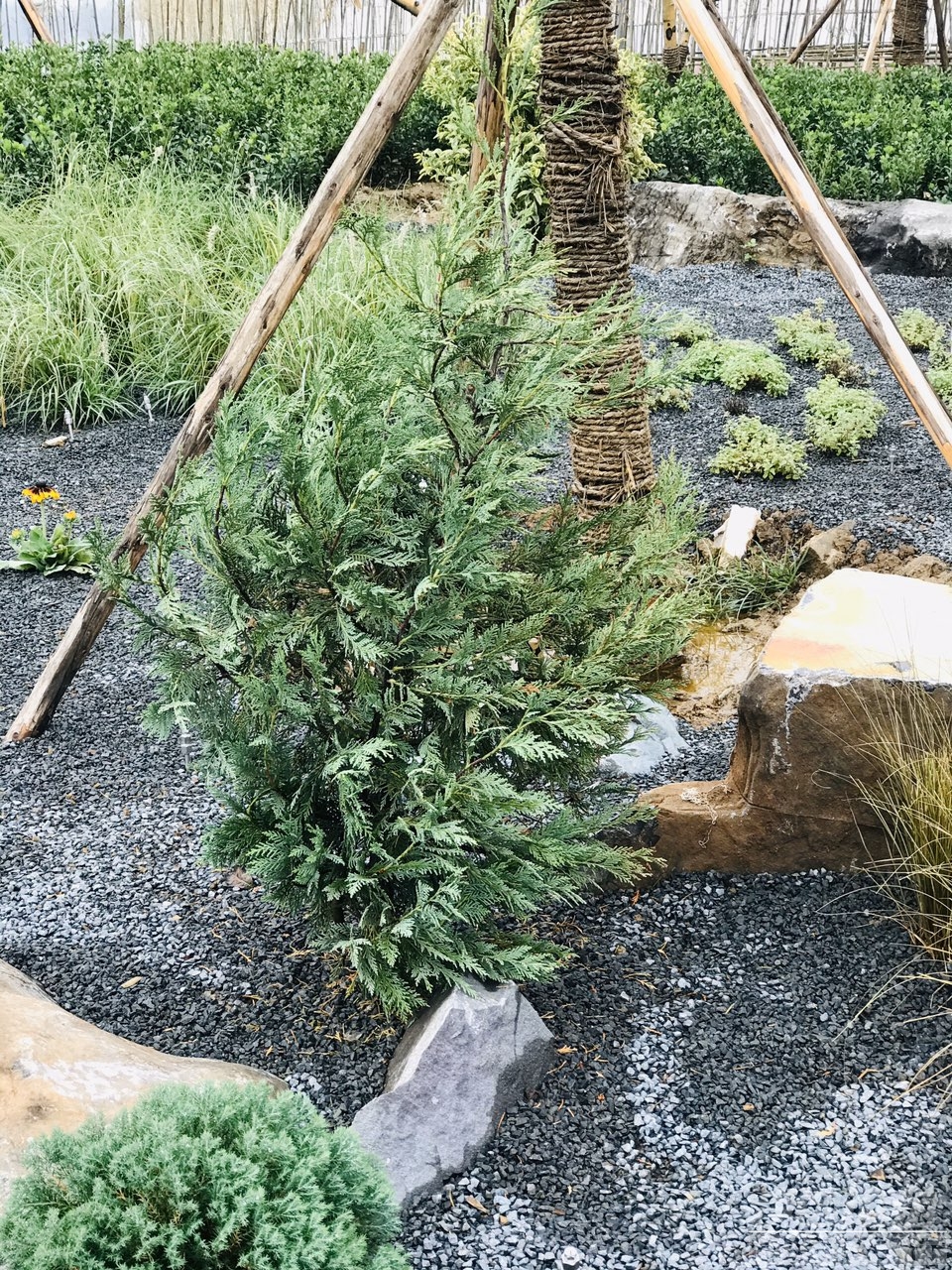 201910105351421570677161018569.jpg