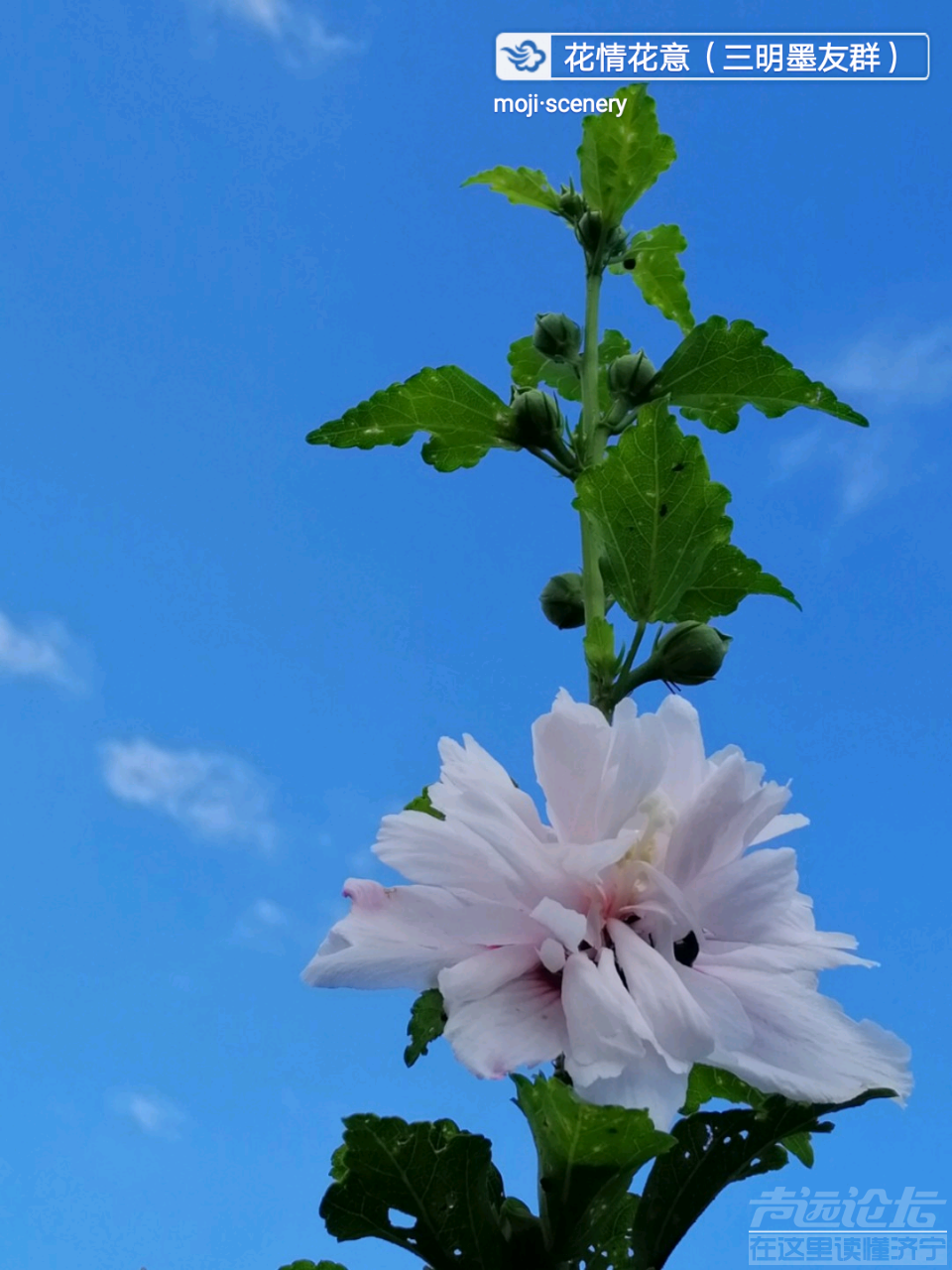20191011_564876_1570771995280.png