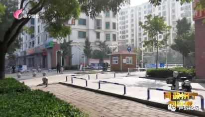 声远头条｜动物园正在选址 /济宁这些小区的业主都被坑惨了/期待济宁的不夜城-5.jpg
