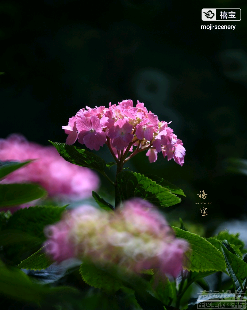 20191014_564876_1571035918759.png