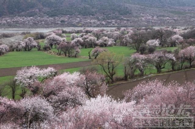 皖南川藏线自驾游线路 川藏线自驾游记~-57.jpg