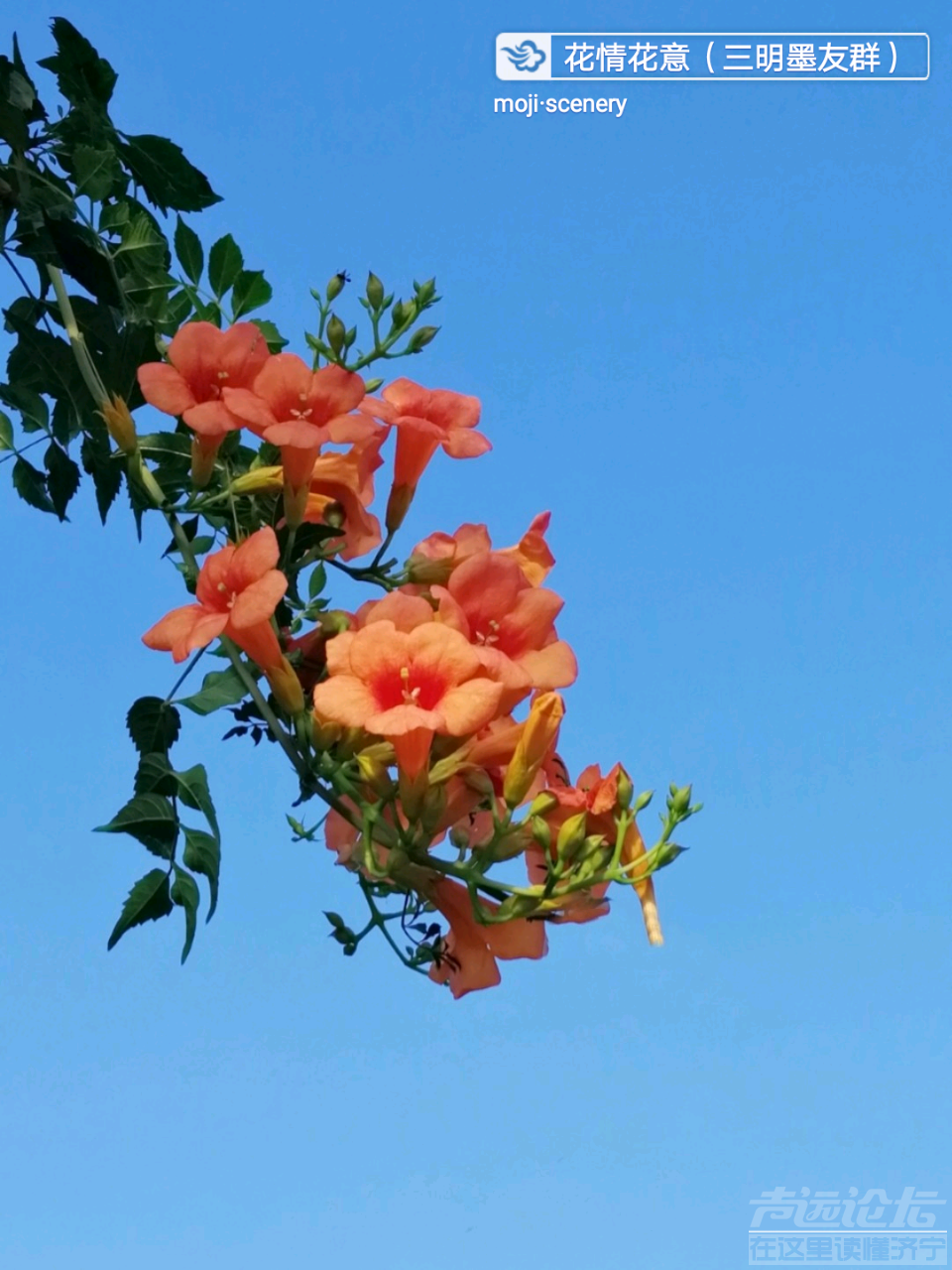 20191015_564876_1571138869103.png