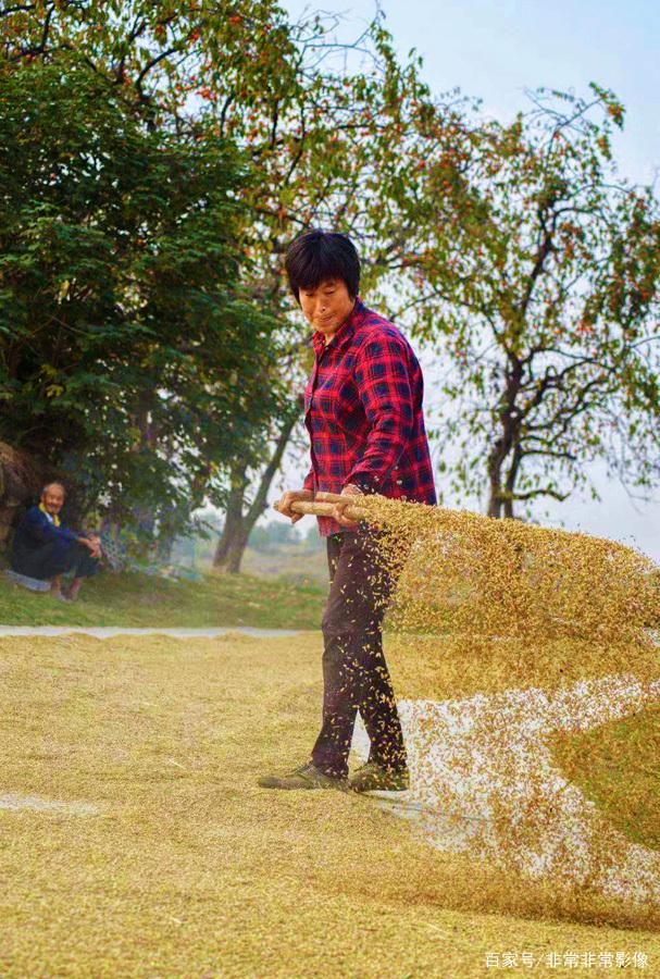 喜欢吗 大六安摄影沙龙金秋佳作选，张张精彩，您喜欢吗？-12.jpg