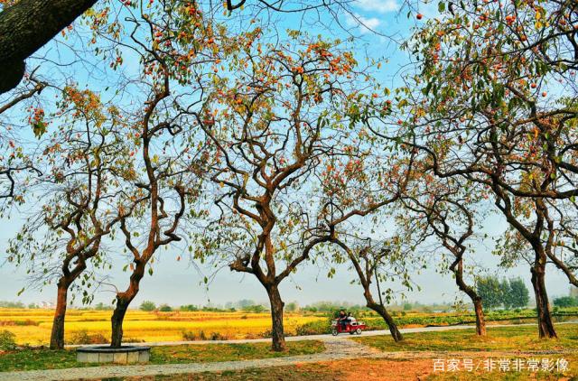 喜欢吗 大六安摄影沙龙金秋佳作选，张张精彩，您喜欢吗？-11.jpg