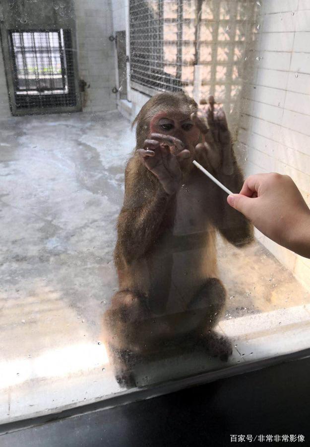 喜欢吗 大六安摄影沙龙金秋佳作选，张张精彩，您喜欢吗？-17.jpg