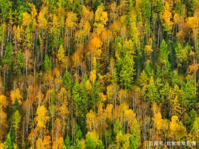 喜欢吗 大六安摄影沙龙金秋佳作选，张张精彩，您喜欢吗？-16.jpg