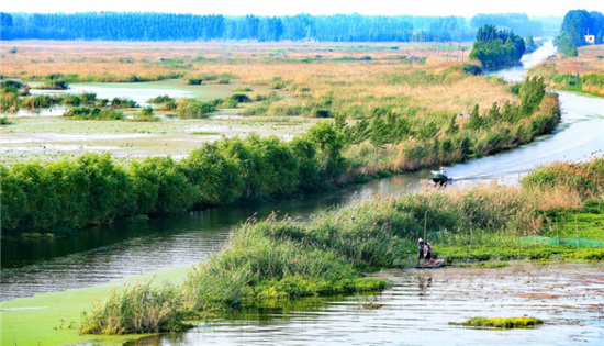 济宁推进国际湿地城市创建-4.png