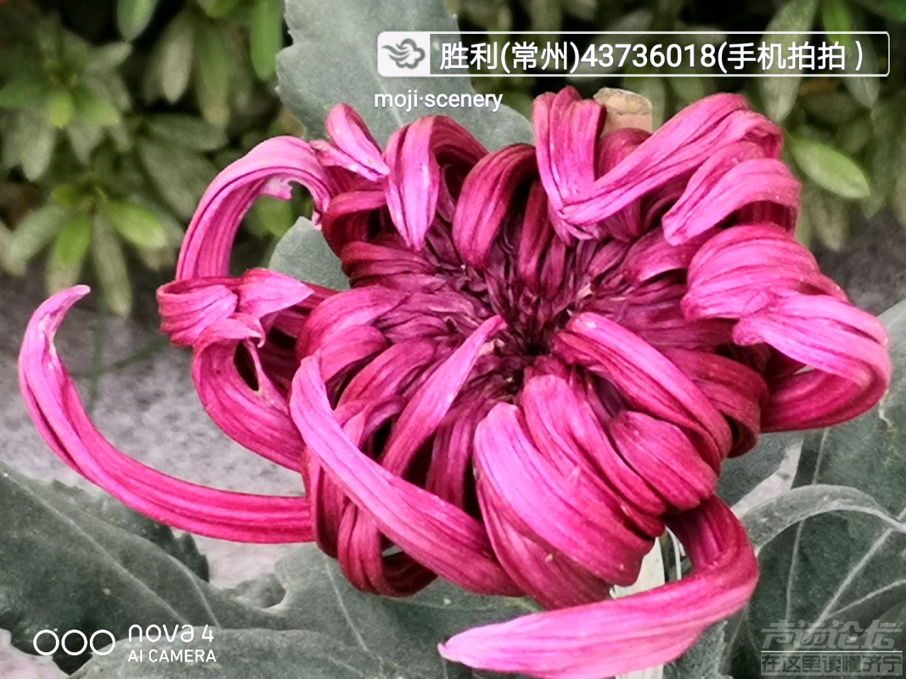 20191027_564876_1572171953757.png