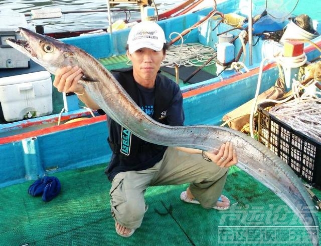 它是最有“骨气”的鱼，一旦落网便会“自杀”，海鲜市场很常见-2.jpg