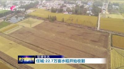 济宁任城22.7万亩水稻开始收割-1.jpg