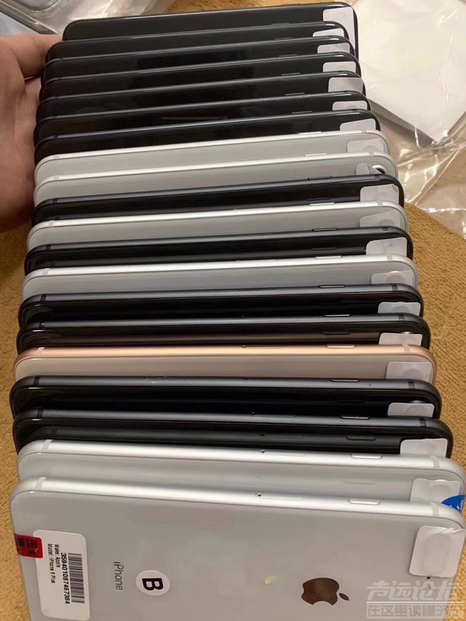 2019110143591572618425188146.jpg