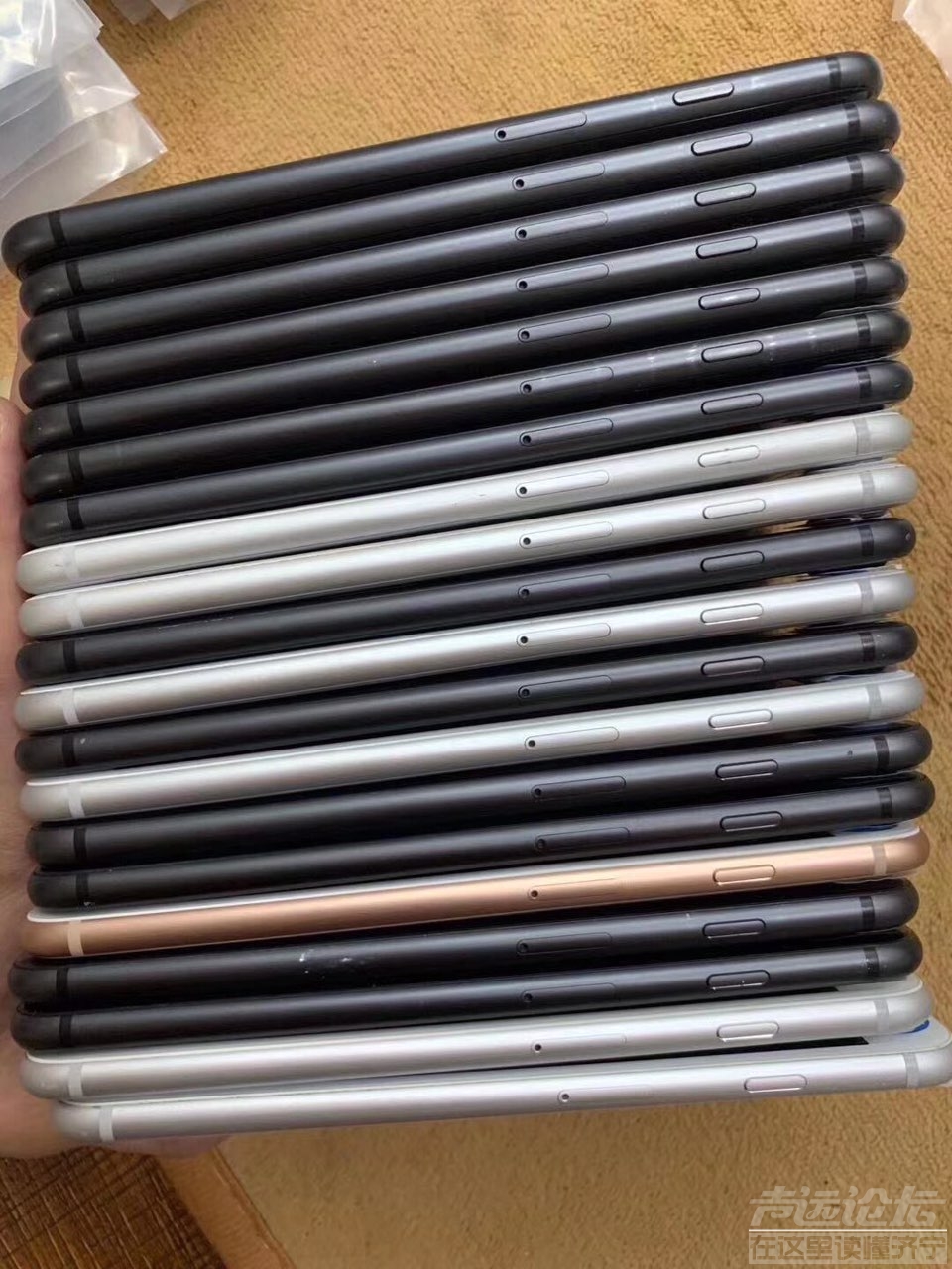 2019110143591572618425251055.jpg