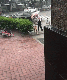 20191106_35902_1572969867697.gif