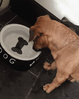 a6f5a7b9ef6ad42c581cd85c99d14959.gif