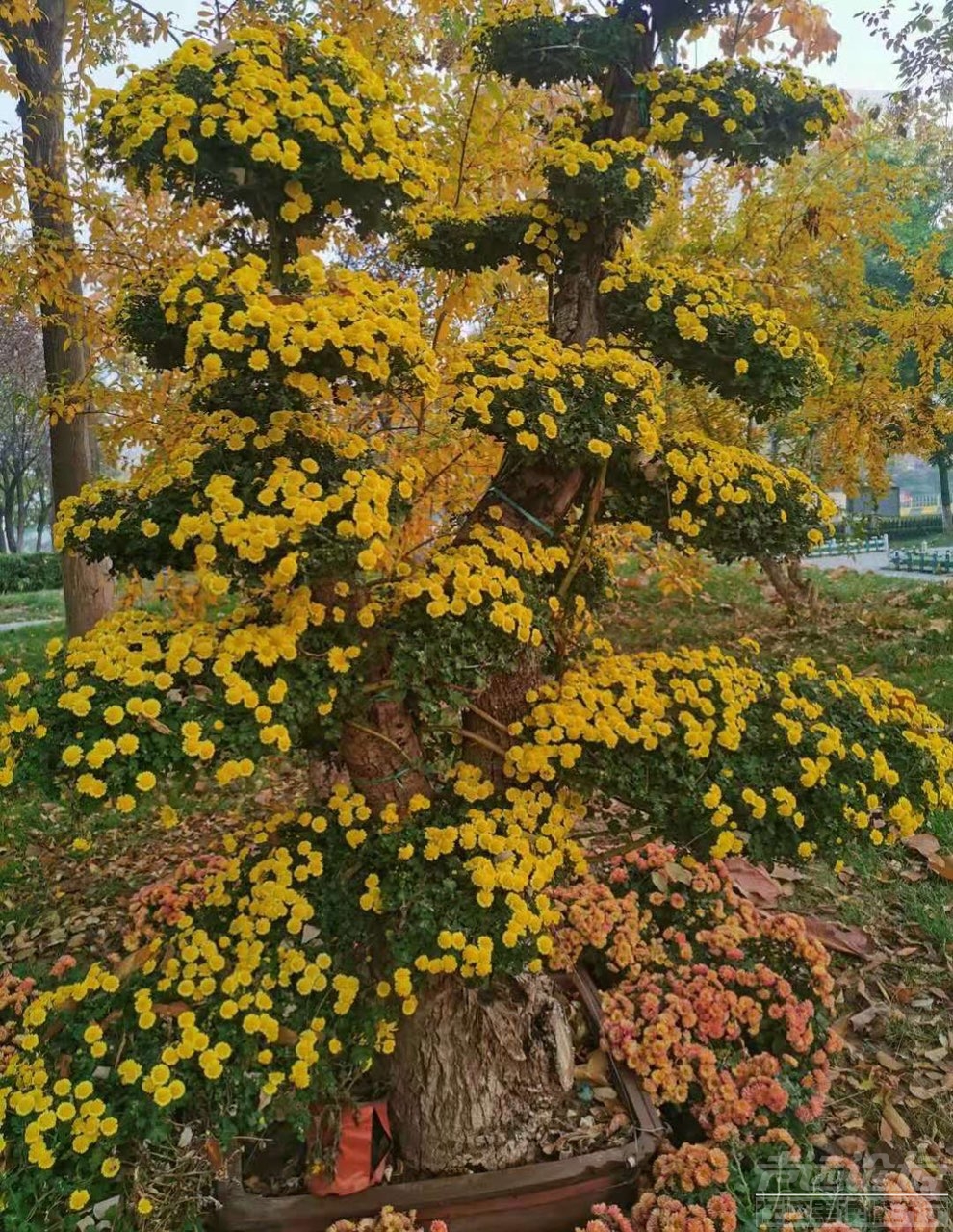 201911096022141573287561309921.jpg