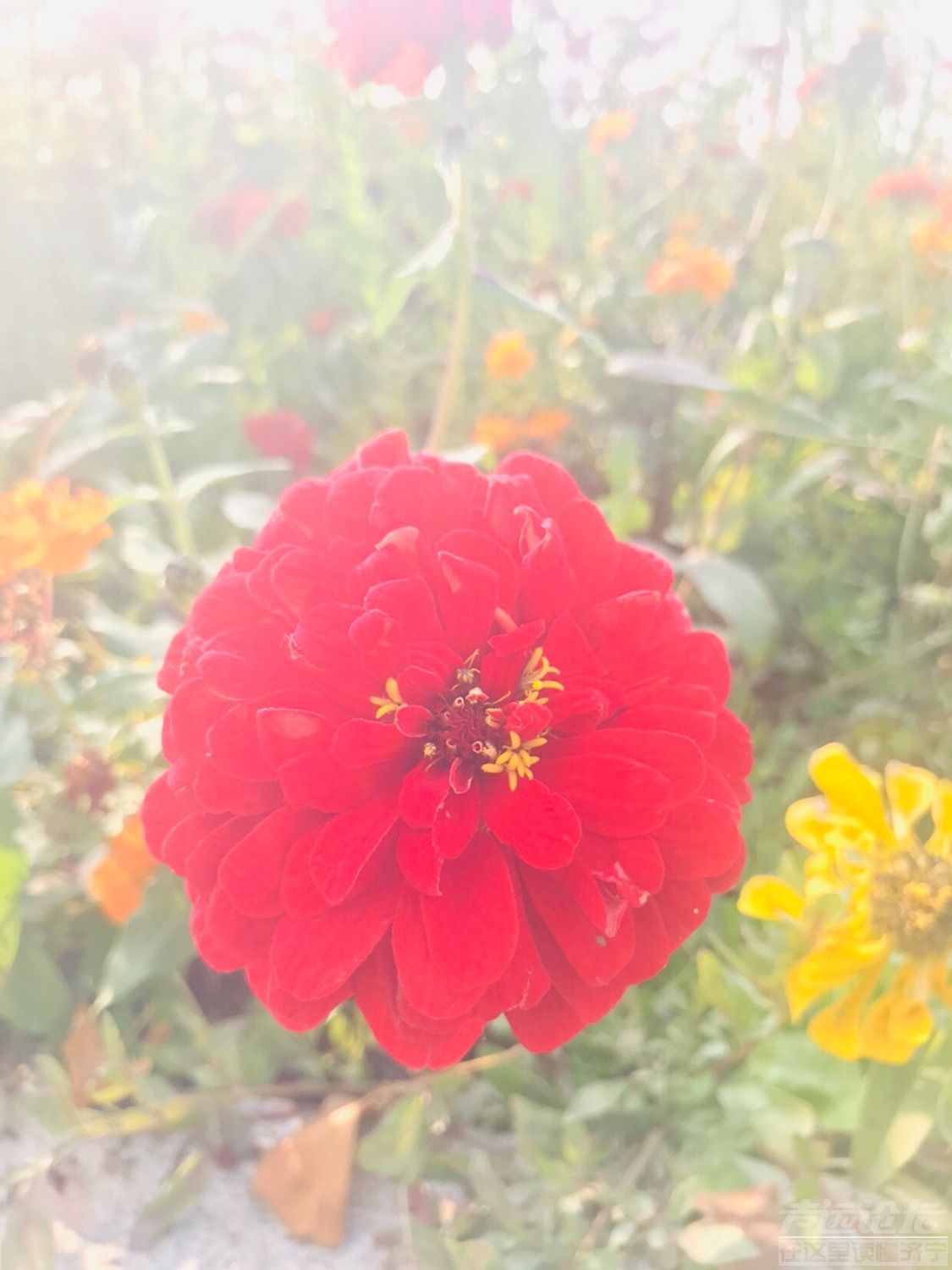 7E93AAB0-95CD-4D9C-9CB3-E88AB555137F.jpeg