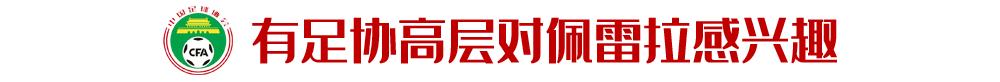 国家队三名候选土帅资料，足协已上交有关部门-2.jpg