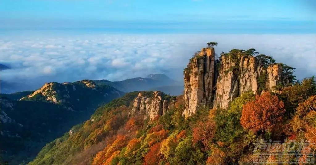 乘高铁环游齐鲁成现实，沿途八个地市超多美景美食等你来！-33.jpg