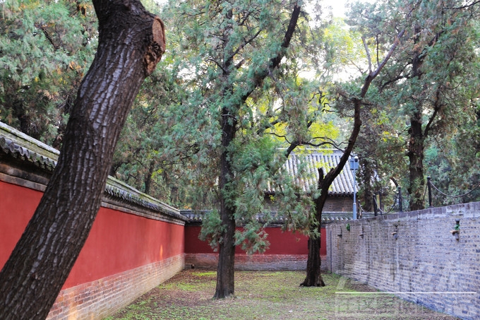 尼山圣境，拜谒孔圣，品国学，看夜景【转】-6.jpg