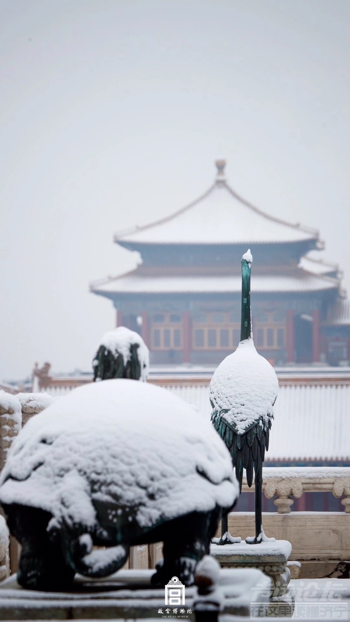 白雪纷纷何所似？未若柳絮因风起！-1.jpg