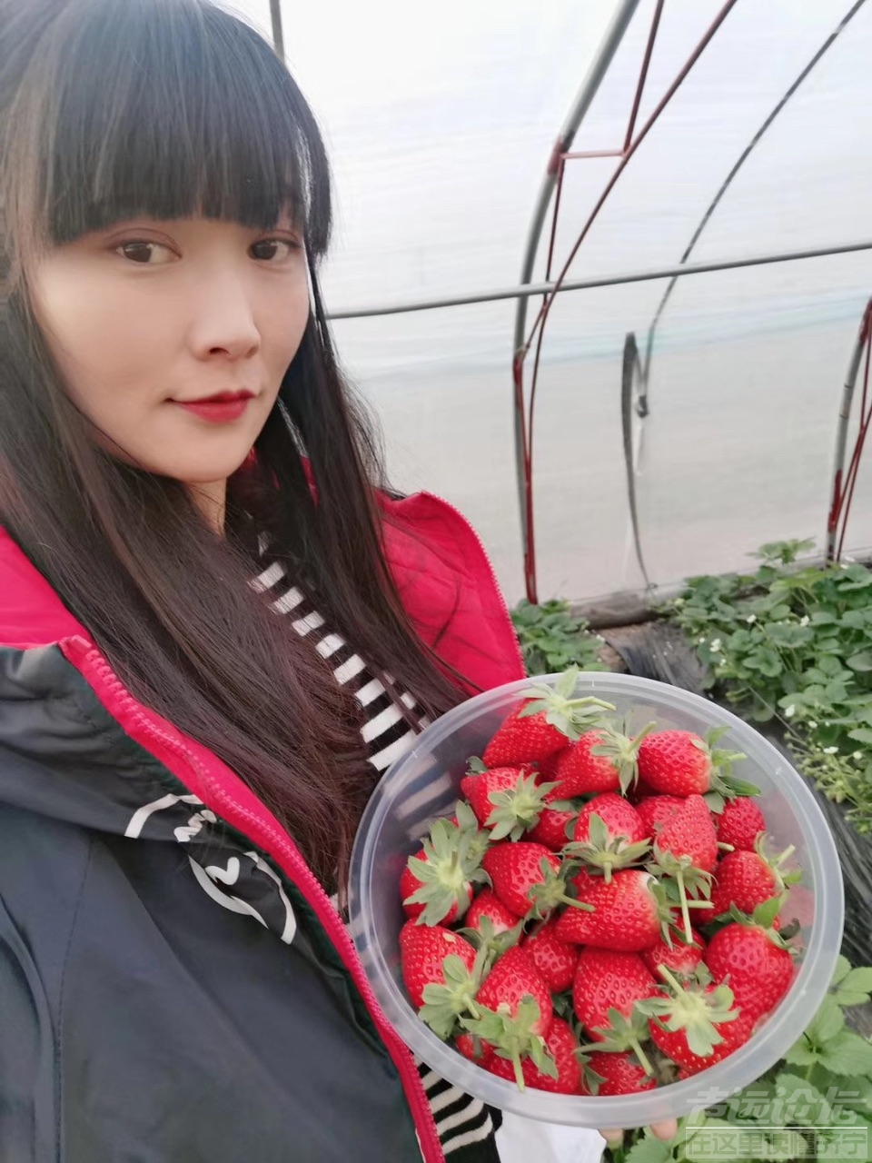 FihKW6W8eSAnH8dnMXzLZiW0ErYn.jpg