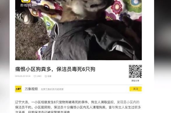 小区保洁员毒死6只宠物狗，声称：小狗让小区变得很脏，不干净！我是迫不得已-1.jpg