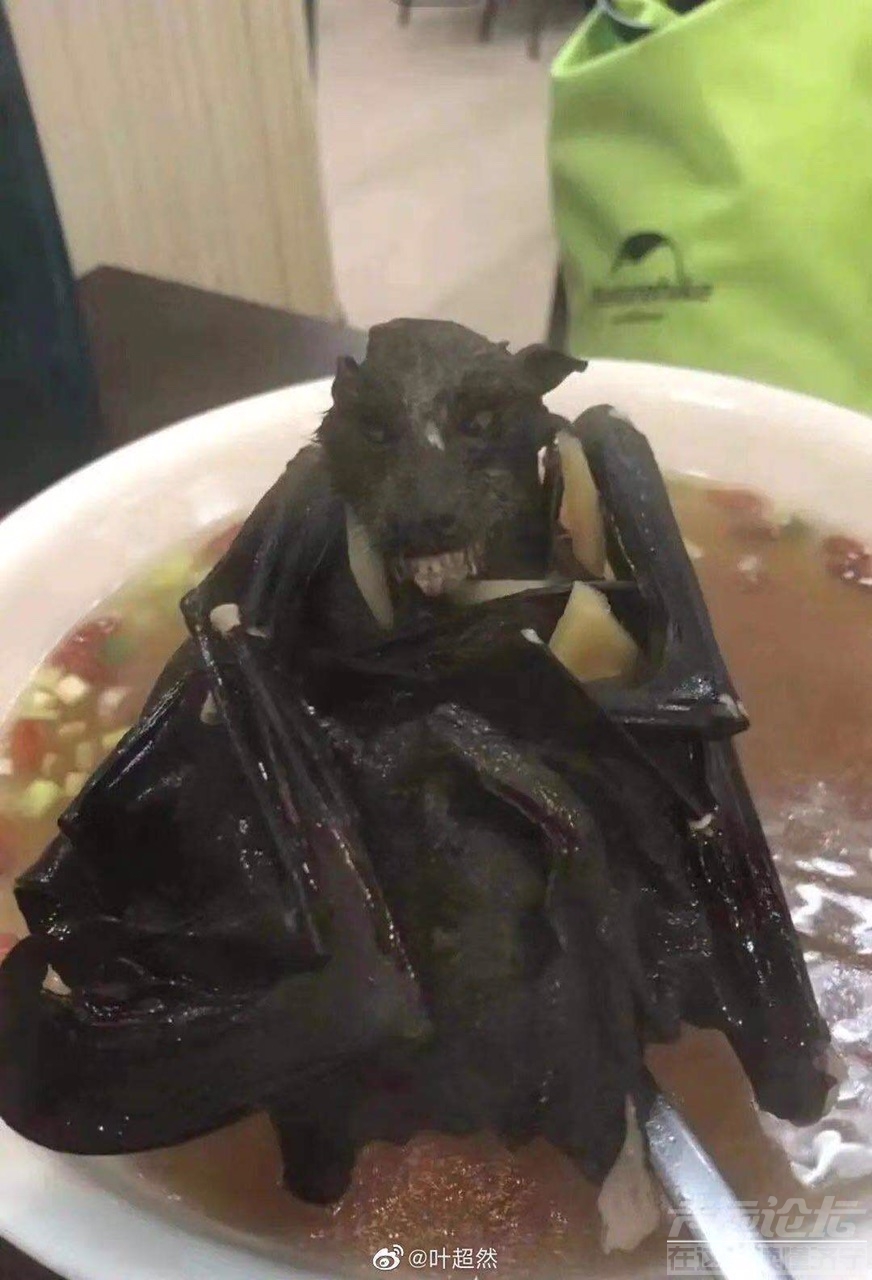 FvuIQ7lWDbfNR9p81vcLzihJfbjq.jpg