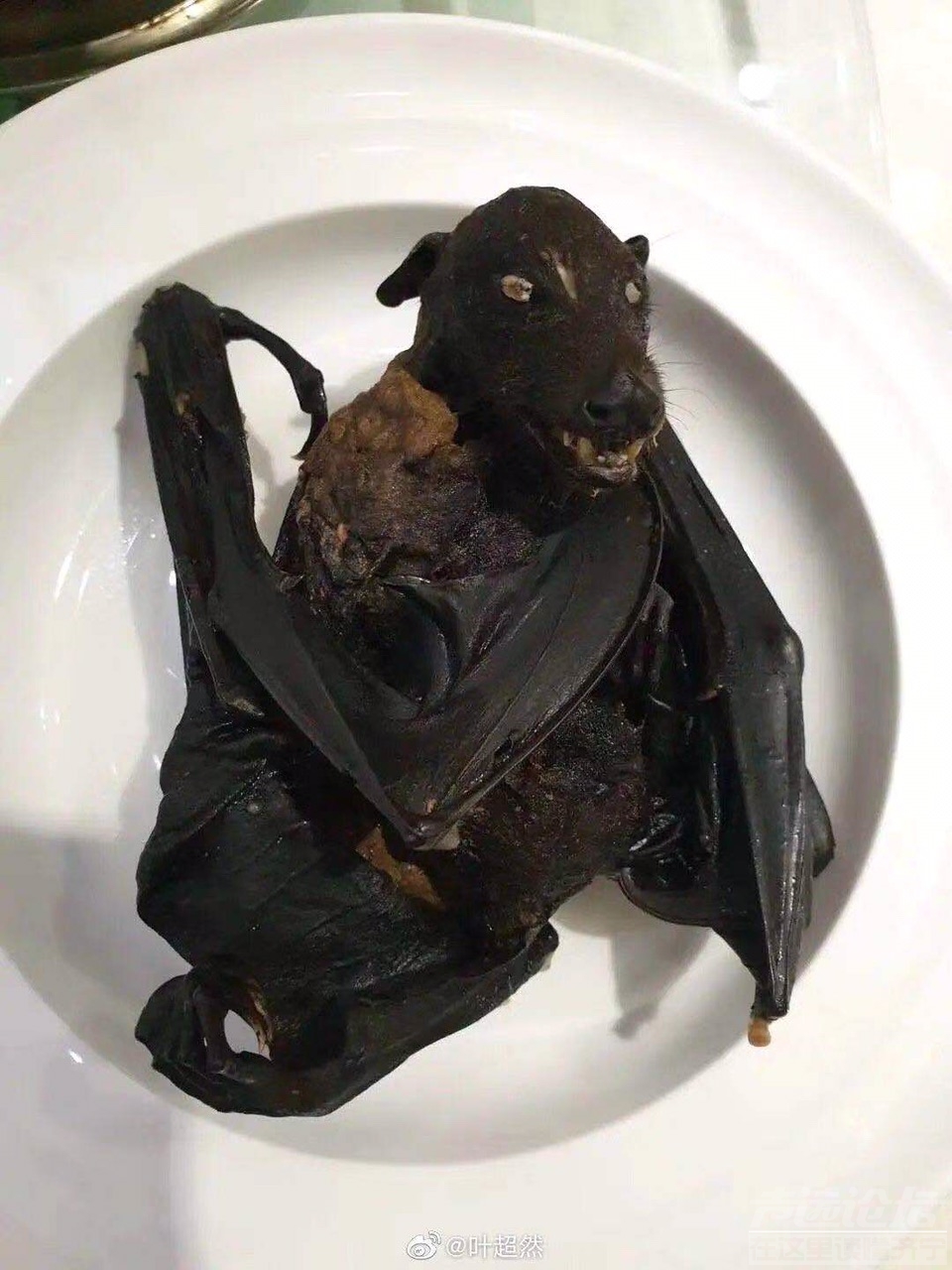 FlHeJ9JXBQmWJeKoYXMP3Zg-bFPX.jpg