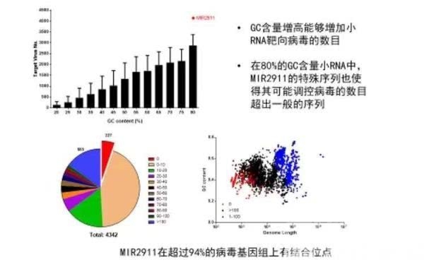 南大发现金银花、绿茶或有望用于早期预防新型冠状病毒-4.jpg