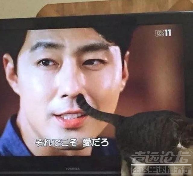 就这几张破图我看了三分钟-2.jpg