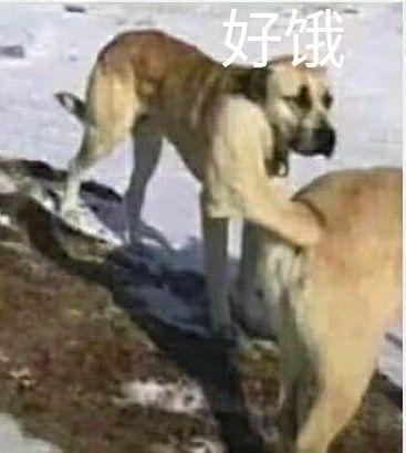 就这几张破图我看了三分钟-5.jpg
