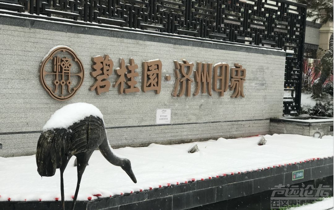 防疫扫雪两不误 相融共筑安心路 ——济宁碧桂园物业一线服务实录-1.jpg