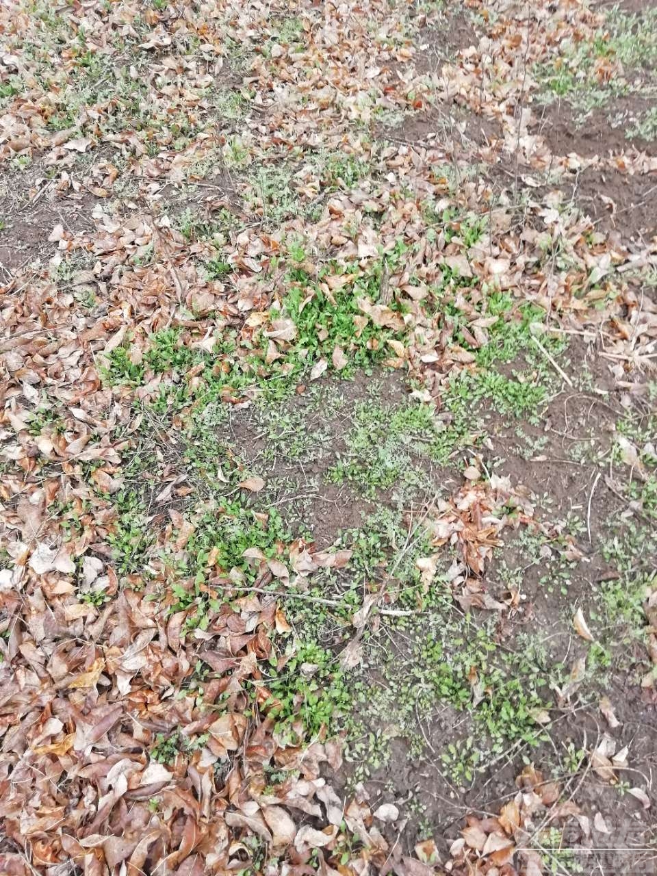 20200226_16765_1582694177326.jpg