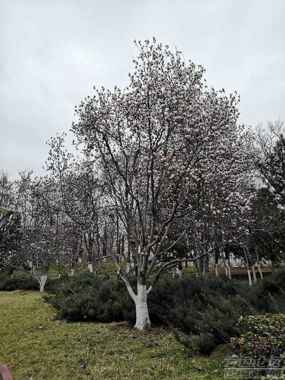 20200226_335734_1582715459102.jpg