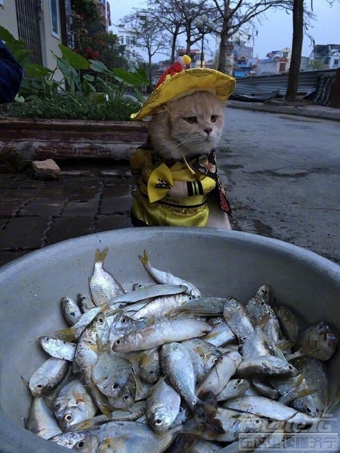 FmTpagVCh5CUc7p5wzHpM0XKDOnn.jpg