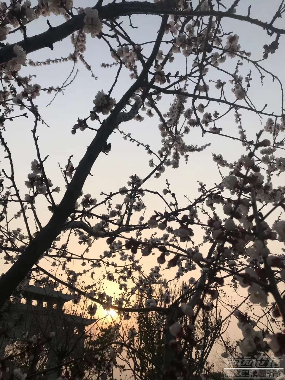 20200314_473522_1584185535069.jpg