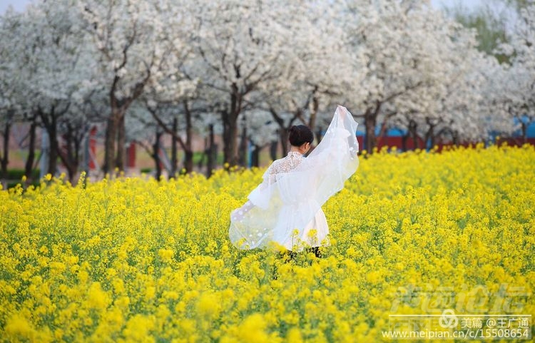 江北水乡处处油菜花田-10.jpg