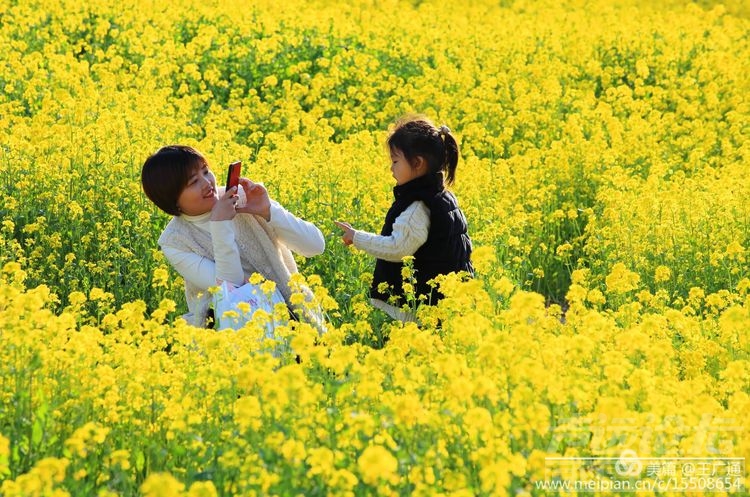 江北水乡处处油菜花田-16.jpg