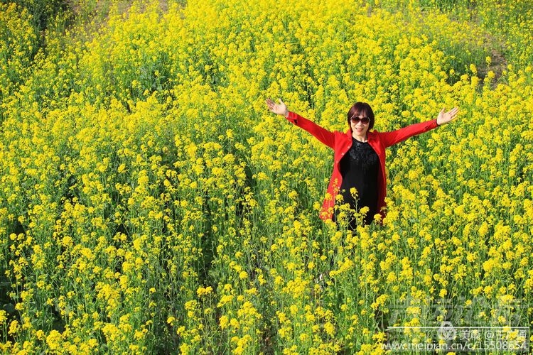 江北水乡处处油菜花田-23.jpg