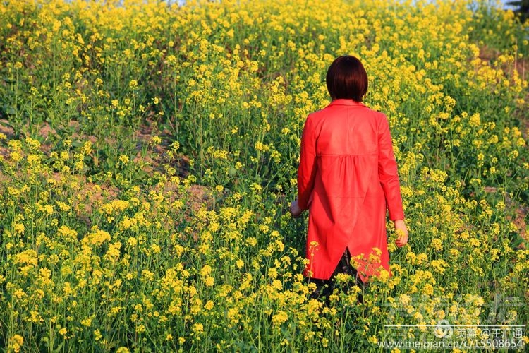 江北水乡处处油菜花田-31.jpg