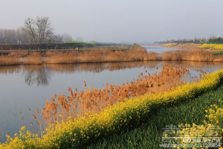 江北水乡处处油菜花田-36.jpg