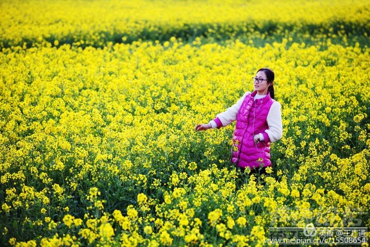 江北水乡处处油菜花田-41.jpg