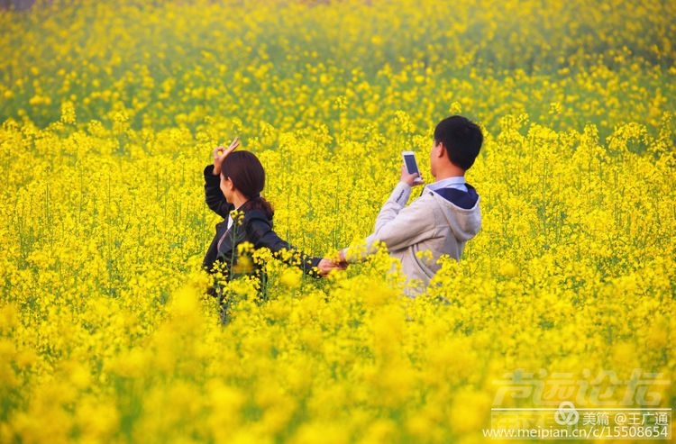 江北水乡处处油菜花田-47.jpg