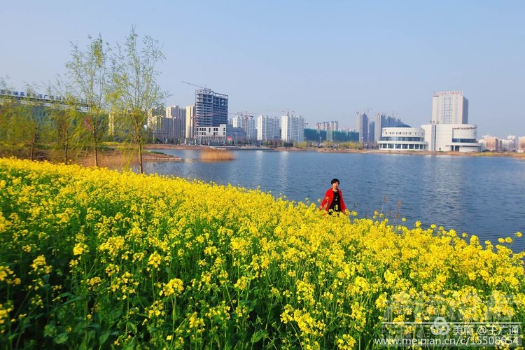 江北水乡处处油菜花田-61.jpg