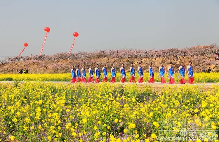 江北水乡处处油菜花田-64.jpg