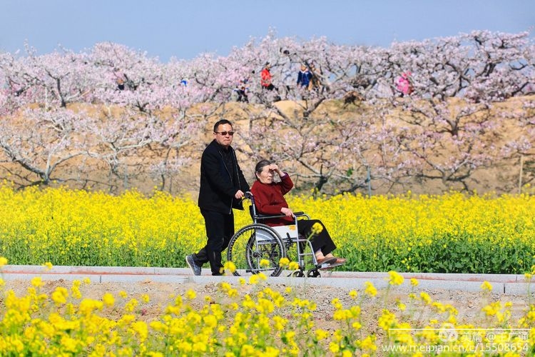 江北水乡处处油菜花田-67.jpg